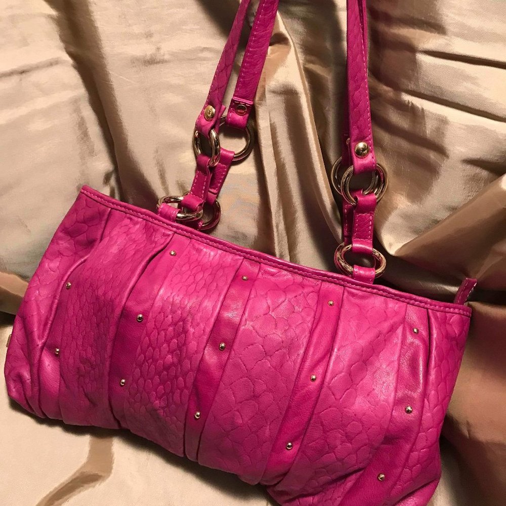 Pulicati Bag